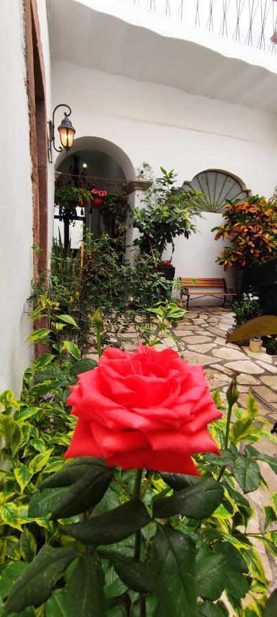 El Jardin De La Abuela Hotell Querétaro Eksteriør bilde