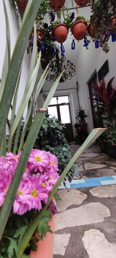 El Jardin De La Abuela Hotell Querétaro Eksteriør bilde